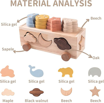 Shape Sorter Toy for Toddlers, Montessori Toy for 1 2 3 Year Wooden Sorting & Stacking Toys, Shape & Color Recognition Preschool Educational Toy Learning Activities for Boys Girls
