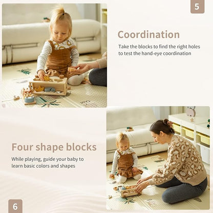 Shape Sorter Toy for Toddlers, Montessori Toy for 1 2 3 Year Wooden Sorting & Stacking Toys, Shape & Color Recognition Preschool Educational Toy Learning Activities for Boys Girls