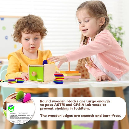 Montessori Toys for 1-3 Year Old: Color Sorting Wooden Drawer Box Toy for Toddlers, Object Permanence and Fine Motor Sensory Toy, 12-18 Months Busy Board Matching Game for Baby Boys and Girls Gifts