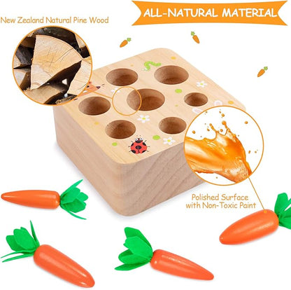 Montessori Toys Baby Easter Toys for Toddlers 1-3 Years Old, Educational Wooden Carrot Toys Shape Size Sorting Matching Puzzle, Great Baby Easter Gifts Birthday Gift Toys