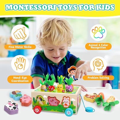 Montessori Toys for 1 2 3 Year Old Girls Boys|Wooden Learning Educational Toys for Toddlers 1-3|Shape Sorting Toys with Game Map|Wood Animal Farm Baby Toys for Baby 1+ 1-2 First Birthday Girl Gifts