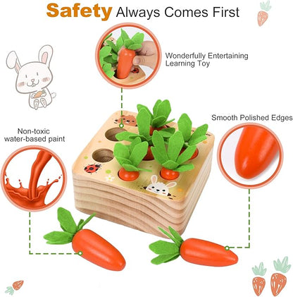 Carrot Harvest - Wooden Educational Toys for Boys and Girls - Preschool Learning Gift - Toddlers Wood Game – Shape Sorting Toy - Worm Toy Playset - for Age 1 2 3 Year Old