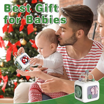 Montessori Educational Insect Busy Cube Toys for 1+ Year Old Boys Girls, Car Seat Airplane Travel Sensory Toys for Toddlers 1-3, 1st Birthday Gifts 6 12 Months
